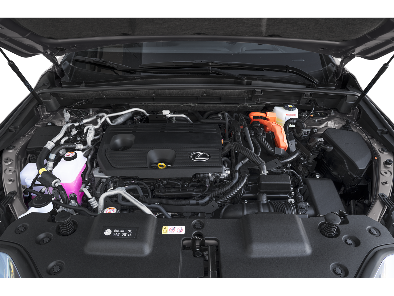 2024 Lexus NX 450h+ F SPORT