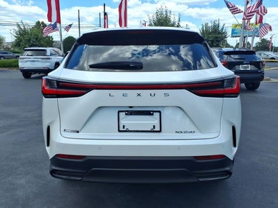2025 Lexus NX 250 Premium