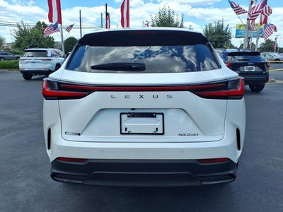 2025 Lexus NX 250 Premium