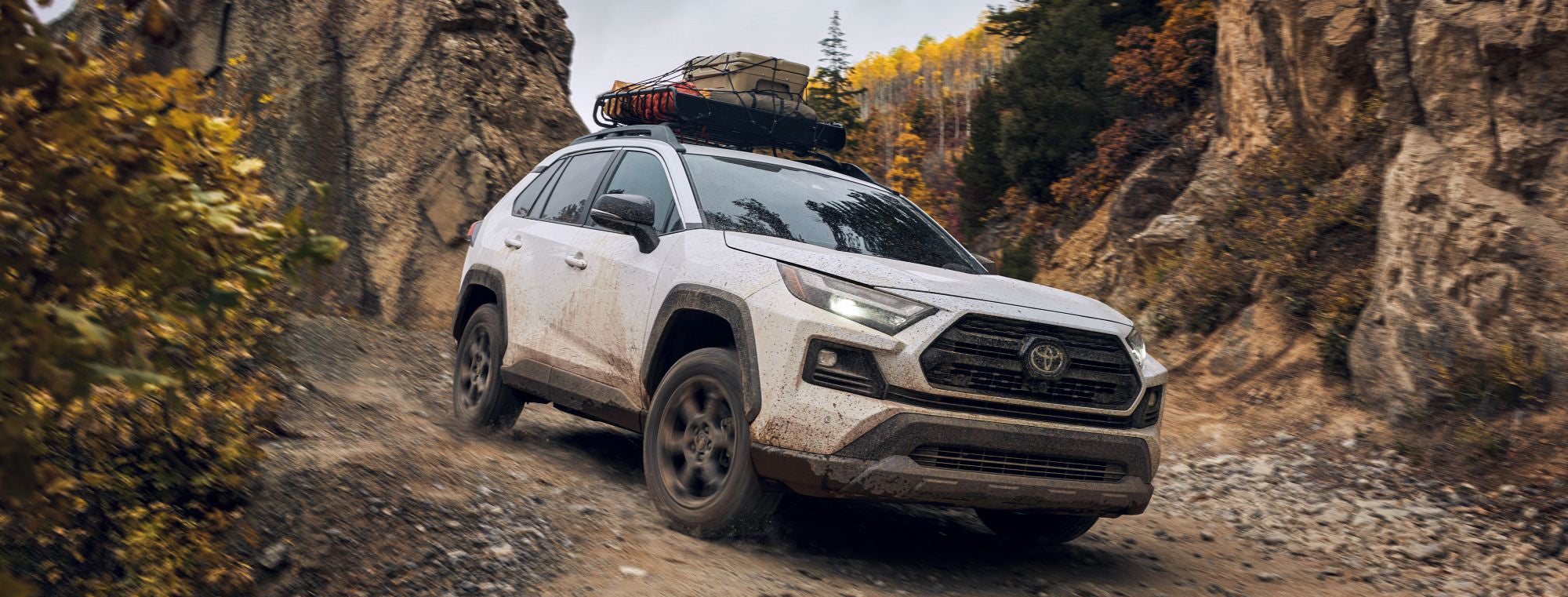 Greenville Toyota in Greenville NC